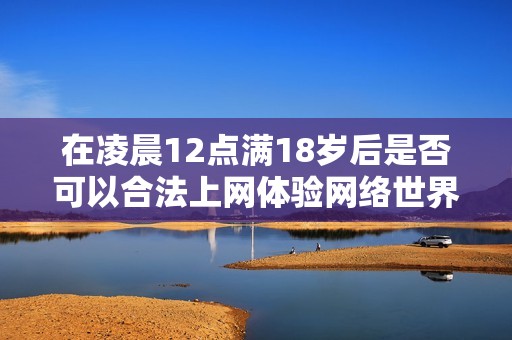 在凌晨12点满18岁后是否可以合法上网体验网络世界