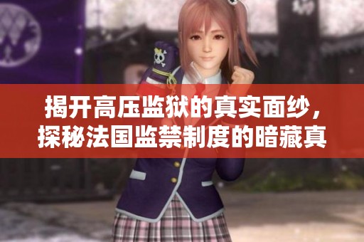 揭开高压监狱的真实面纱，探秘法国监禁制度的暗藏真相