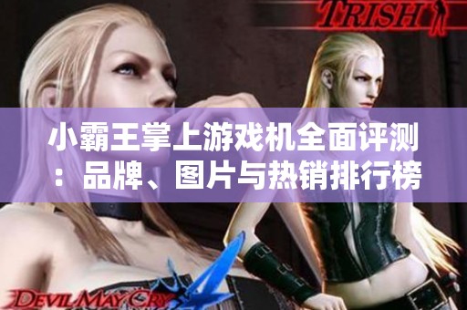 小霸王掌上游戏机全面评测：品牌、图片与热销排行榜解析