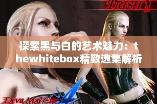 探索黑与白的艺术魅力：thewhitebox精致选集解析
