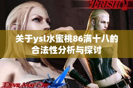 关于ysl水蜜桃86满十八的合法性分析与探讨