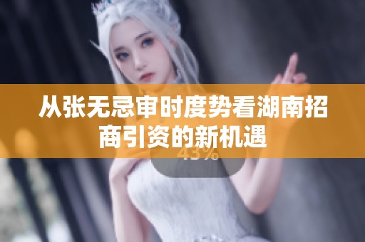 从张无忌审时度势看湖南招商引资的新机遇