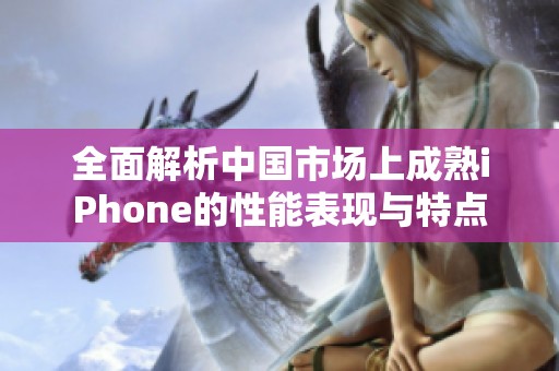 全面解析中国市场上成熟iPhone的性能表现与特点