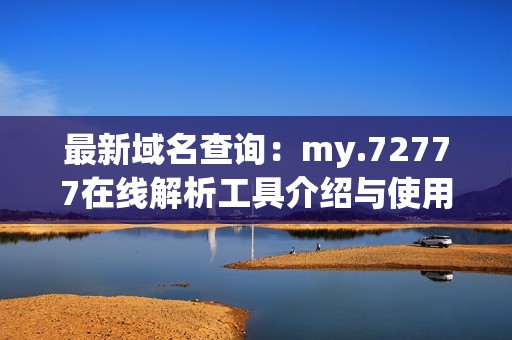 最新域名查询：my.72777在线解析工具介绍与使用指南