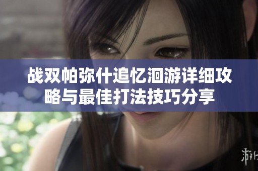 战双帕弥什追忆洄游详细攻略与最佳打法技巧分享