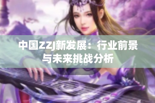 中国ZZJ新发展：行业前景与未来挑战分析