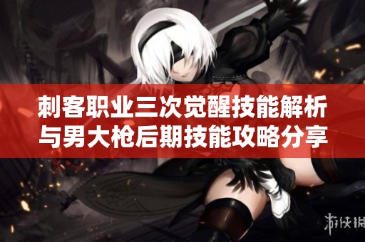 刺客职业三次觉醒技能解析与男大枪后期技能攻略分享