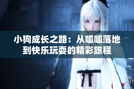 小狗成长之路：从呱呱落地到快乐玩耍的精彩旅程