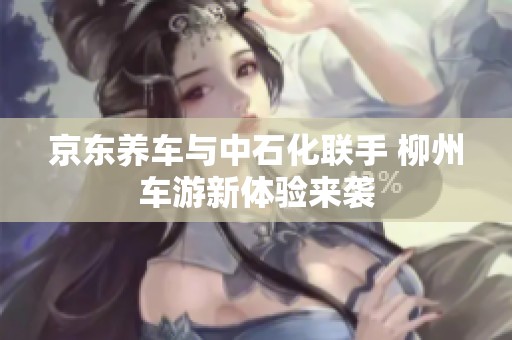 京东养车与中石化联手 柳州车游新体验来袭