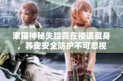 家猫神秘失踪竟在楼道藏身，养宠安全防护不可忽视