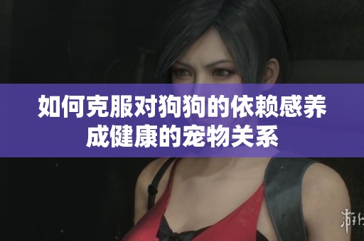 如何克服对狗狗的依赖感养成健康的宠物关系