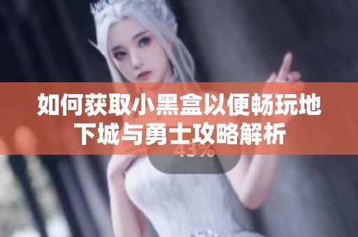 如何获取小黑盒以便畅玩地下城与勇士攻略解析