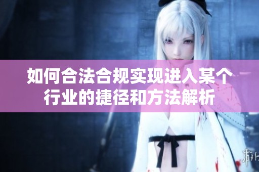 如何合法合规实现进入某个行业的捷径和方法解析