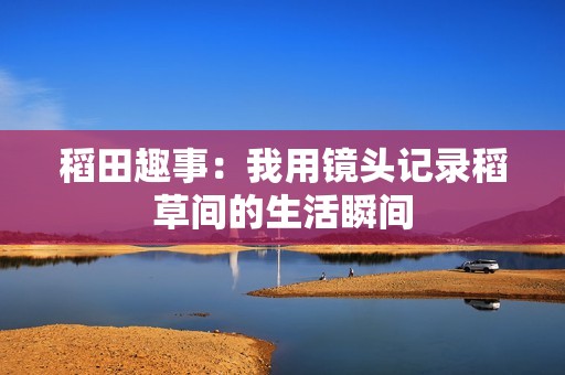 稻田趣事：我用镜头记录稻草间的生活瞬间