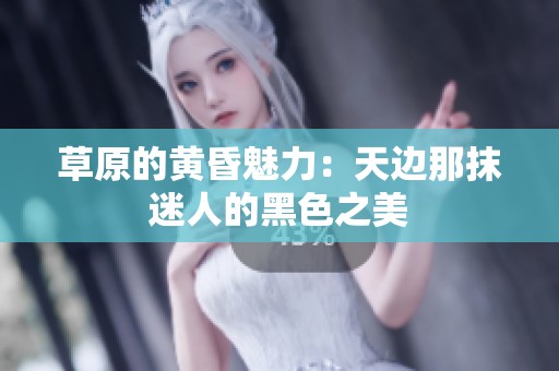 草原的黄昏魅力：天边那抹迷人的黑色之美