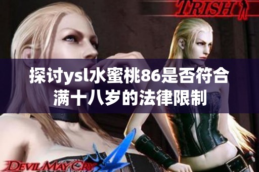 探讨ysl水蜜桃86是否符合满十八岁的法律限制