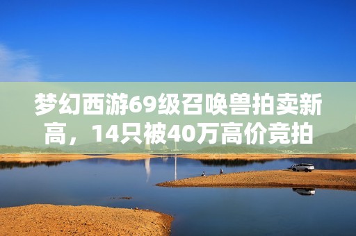 梦幻西游69级召唤兽拍卖新高，14只被40万高价竞拍成功