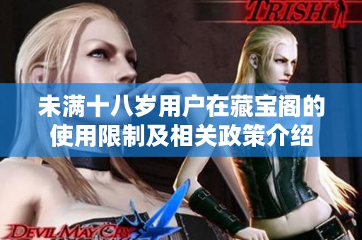 未满十八岁用户在藏宝阁的使用限制及相关政策介绍
