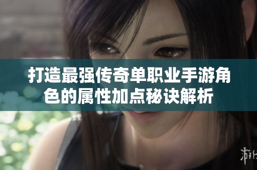 打造最强传奇单职业手游角色的属性加点秘诀解析