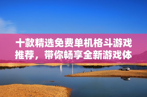 十款精选免费单机格斗游戏推荐，带你畅享全新游戏体验