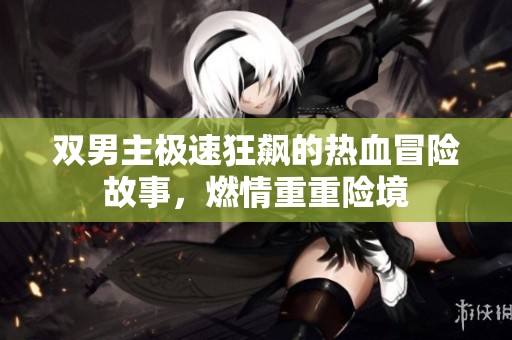 双男主极速狂飙的热血冒险故事，燃情重重险境