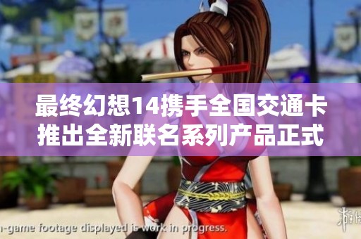 最终幻想14携手全国交通卡推出全新联名系列产品正式上线