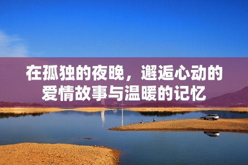 在孤独的夜晚，邂逅心动的爱情故事与温暖的记忆