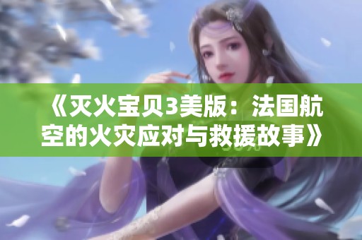 《灭火宝贝3美版：法国航空的火灾应对与救援故事》