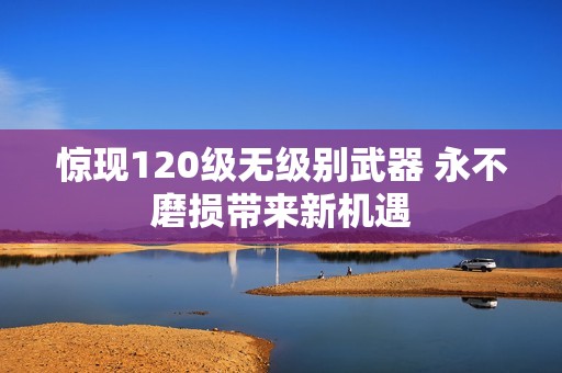 惊现120级无级别武器 永不磨损带来新机遇