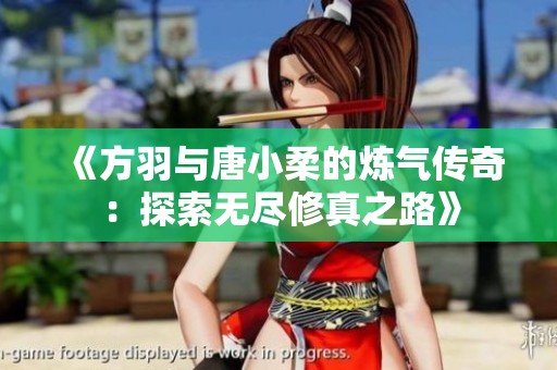 《方羽与唐小柔的炼气传奇：探索无尽修真之路》