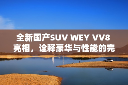 全新国产SUV WEY VV8 亮相，诠释豪华与性能的完美结合