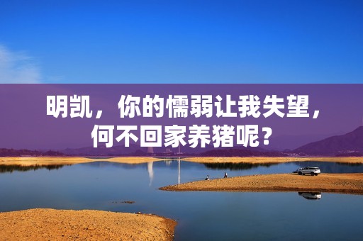 明凯，你的懦弱让我失望，何不回家养猪呢？