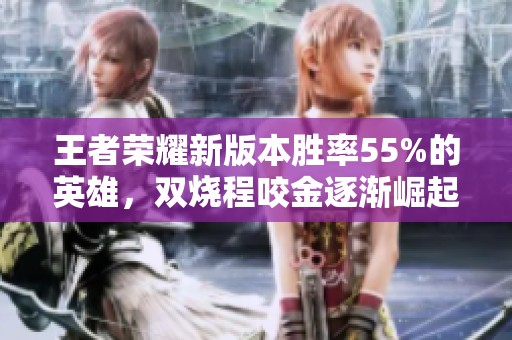 王者荣耀新版本胜率55%的英雄，双烧程咬金逐渐崛起