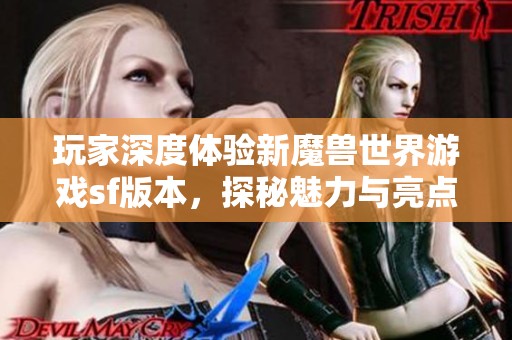 玩家深度体验新魔兽世界游戏sf版本，探秘魅力与亮点