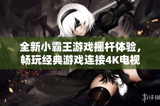 全新小霸王游戏摇杆体验，畅玩经典游戏连接4K电视与投影仪