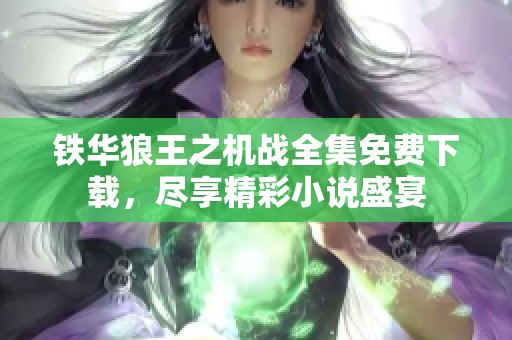 铁华狼王之机战全集免费下载，尽享精彩小说盛宴