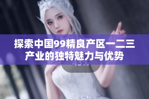 探索中国99精良产区一二三产业的独特魅力与优势