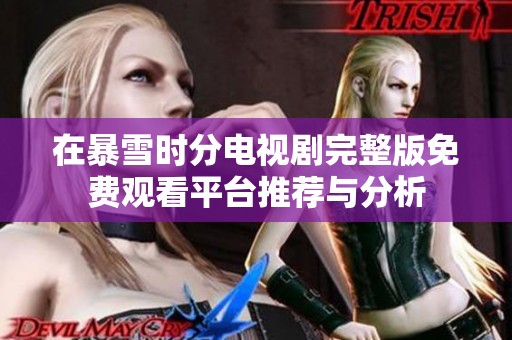 在暴雪时分电视剧完整版免费观看平台推荐与分析