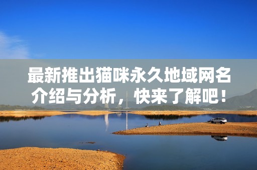 最新推出猫咪永久地域网名介绍与分析，快来了解吧！