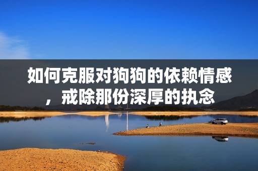 如何克服对狗狗的依赖情感，戒除那份深厚的执念
