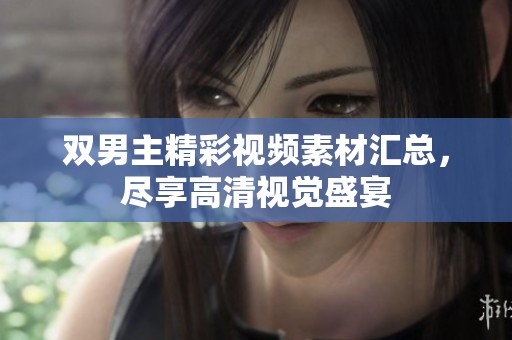 双男主精彩视频素材汇总，尽享高清视觉盛宴