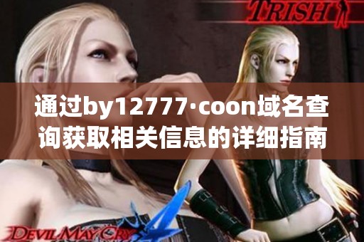 通过by12777·coon域名查询获取相关信息的详细指南