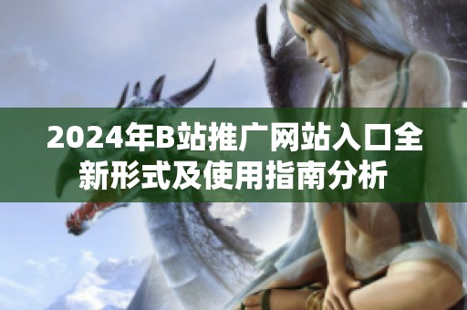 2024年B站推广网站入口全新形式及使用指南分析