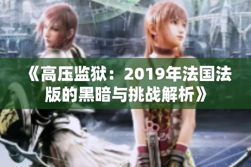 《高压监狱：2019年法国法版的黑暗与挑战解析》