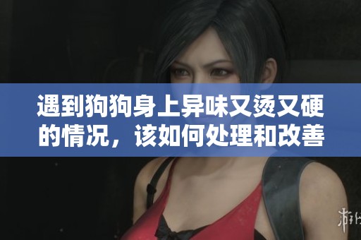 遇到狗狗身上异味又烫又硬的情况，该如何处理和改善