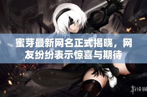 蜜芽最新网名正式揭晓，网友纷纷表示惊喜与期待
