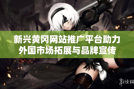 新兴黄冈网站推广平台助力外国市场拓展与品牌宣传