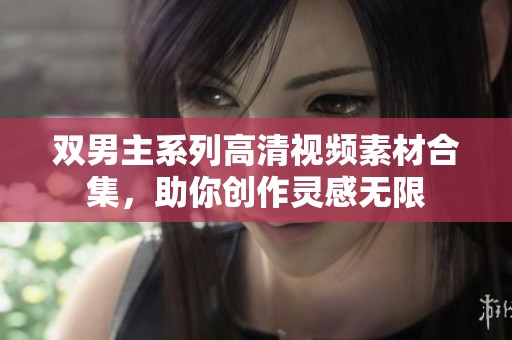 双男主系列高清视频素材合集，助你创作灵感无限