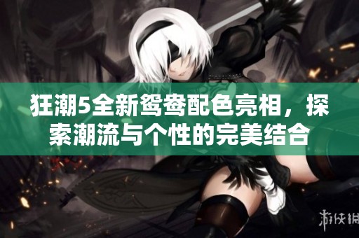 狂潮5全新鸳鸯配色亮相，探索潮流与个性的完美结合