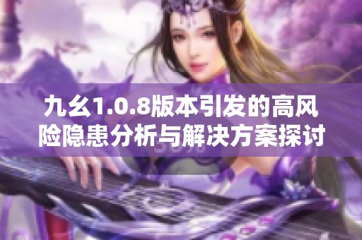 九幺1.0.8版本引发的高风险隐患分析与解决方案探讨